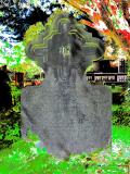 image of grave number 700542